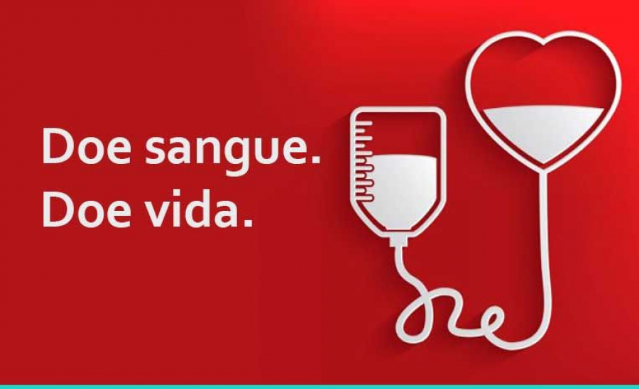 Doar Sangue Seguro Veja Mitos E Verdades Sobre Esse Ato Que Salva Vidas